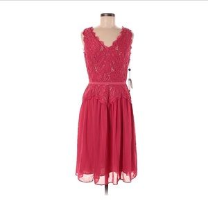 Adrianna Papell Pink Chiffon and Lace Dress NWT